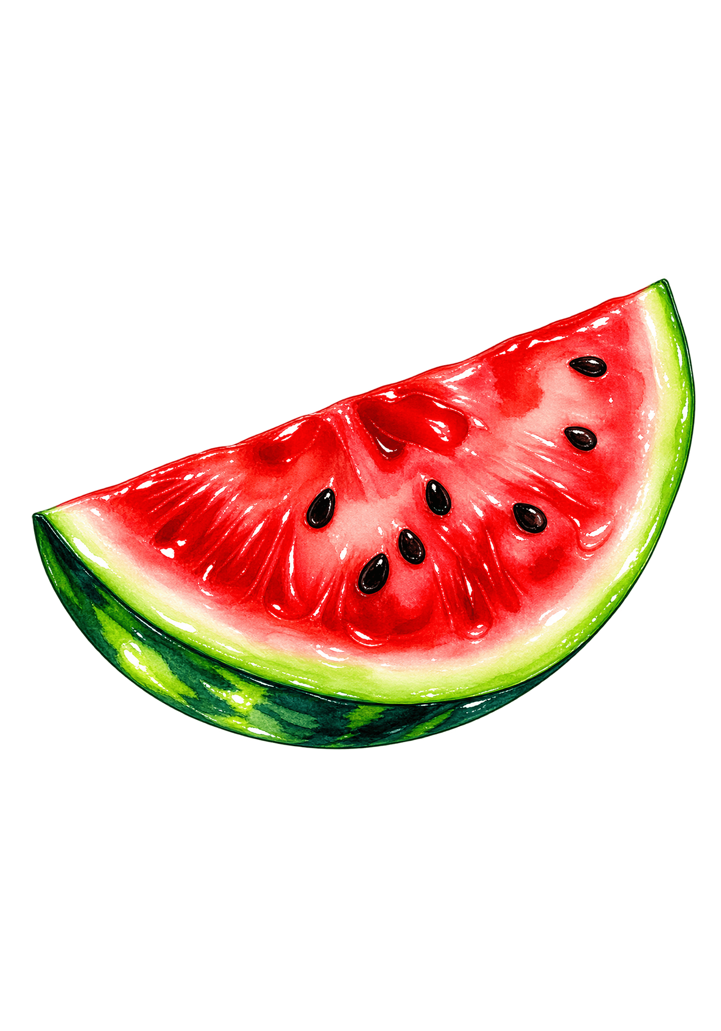 LAMINA VERANO 19